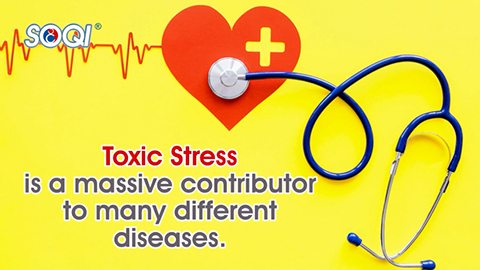 Stress-2-480.jpg