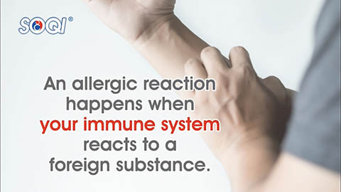 Allergy_05_480.jpg