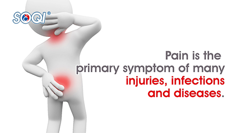 Pain_2_480.jpg